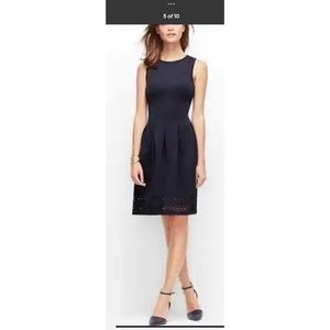 NEW-Ann Taylor Navy Blue Dress